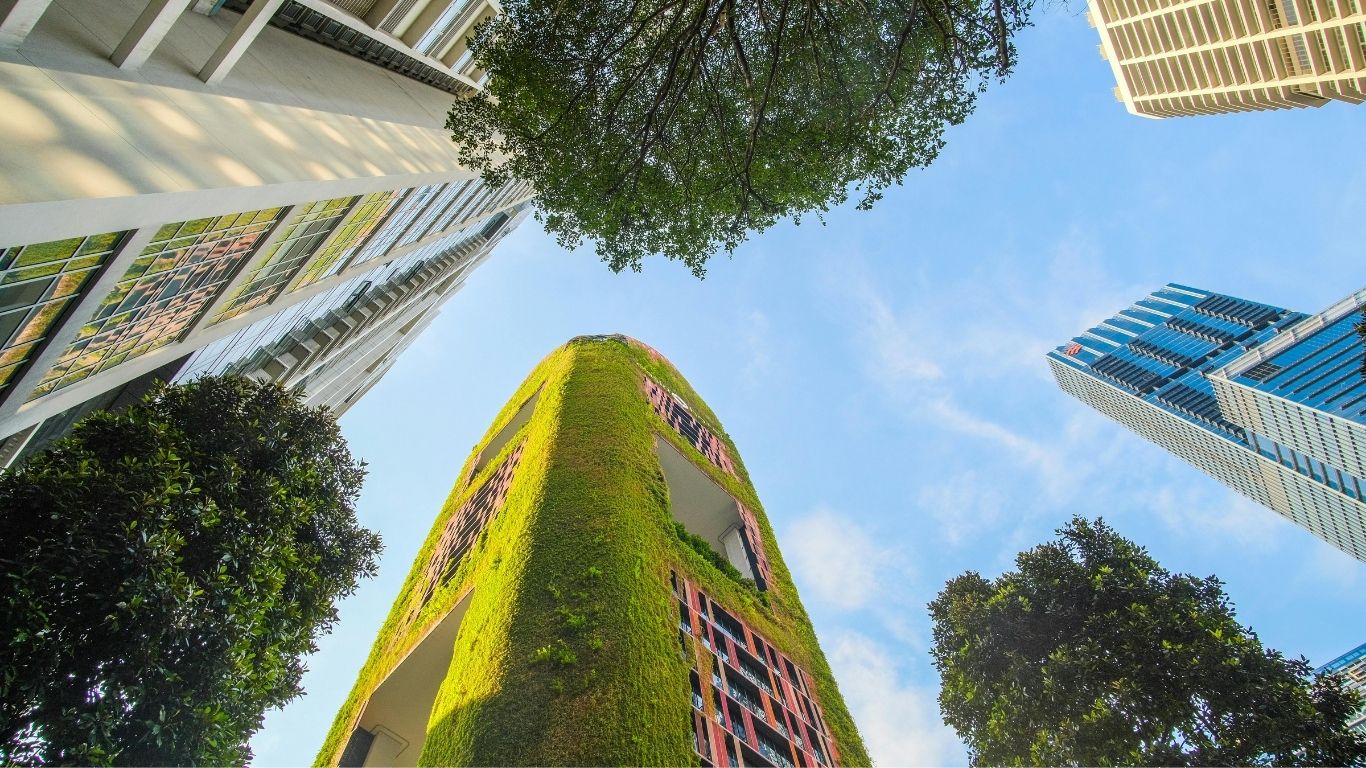 Sürdürülebilir Turizm Danışmanlığı ve Belgelendirme